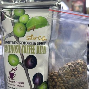 Coffea Racemosa coffee - Endemic to the elephant coast KwaZulu Natal  - 100 grams